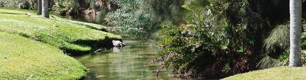 Warm Mineral Springs Motel North Port Bagian luar foto